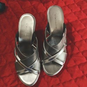 Silver wedges